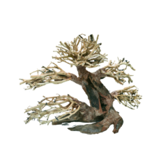 Chicos Natural Bonsai Aquarium Tree (DR08-17F)[Dimension - 30x23x13cm]