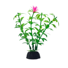 Aquabroo whimsy plastic plant