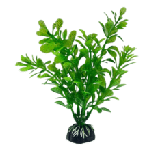 Aquabroo Sway Plastic Plant