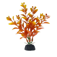 Aquabroo Glade Plastic Plant