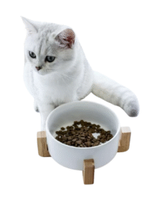 Petbroo White Ceramic Bowl-Small