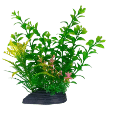 AQUABROO POND PLASTIC PLANT